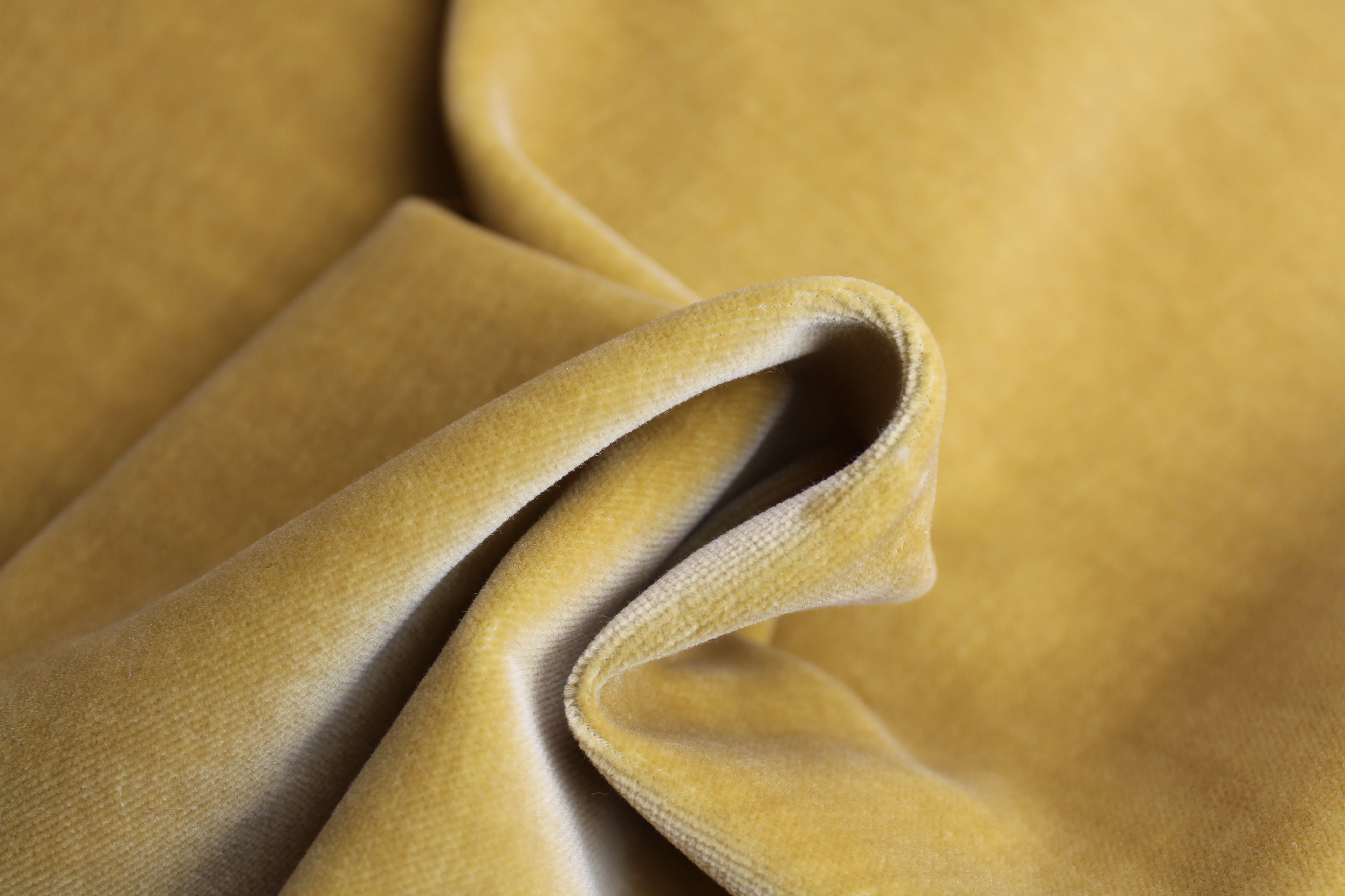 COTTON MODAL VELVET - GOLD